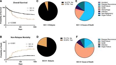 Nephrons and non-relapse mortality: simplified comorbidity index and acute kidney injury are associated with NRM in adults undergoing allogeneic hematopoietic cell transplant